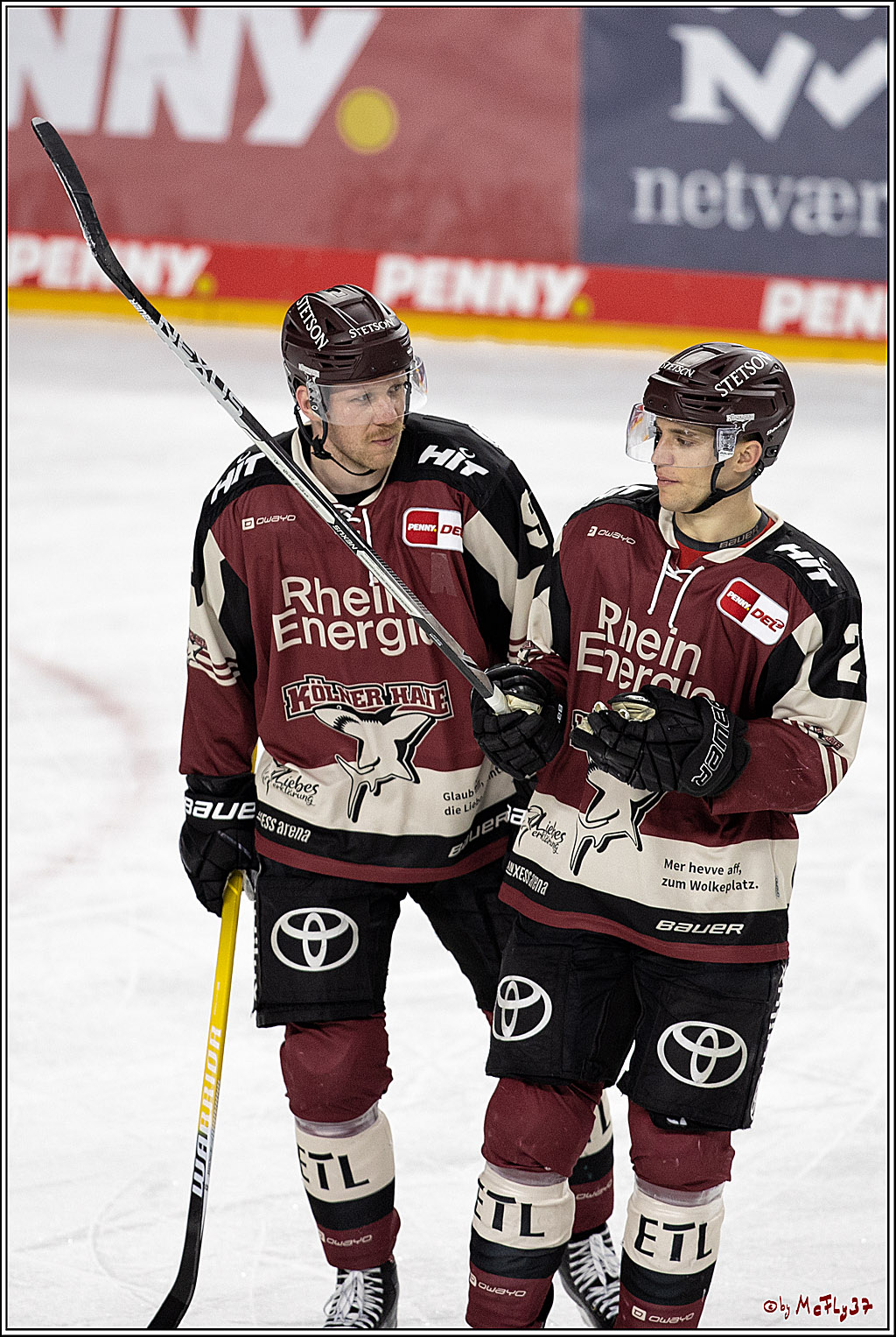 PENNY DEL;  Koelner Haie - Augsburger Panther; Koeln, 05.04.2021